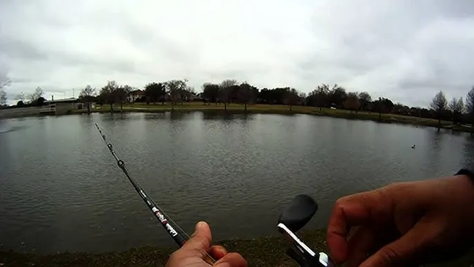 Gander Mountain Fishing